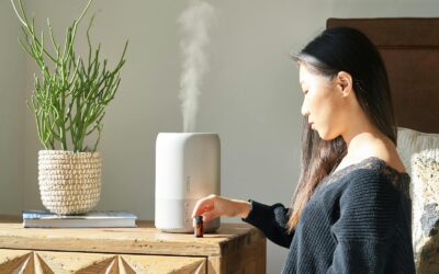 8 Reasons Why You Should Invest in a Humidifier