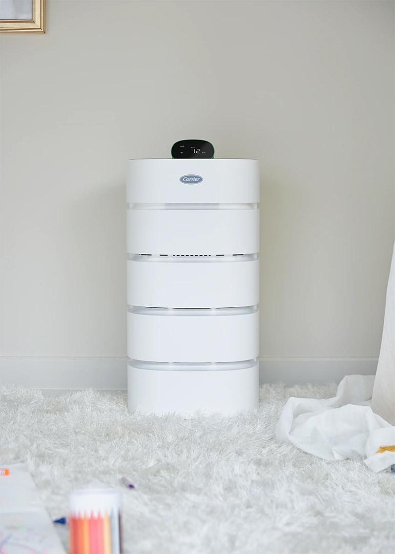 air purifier services