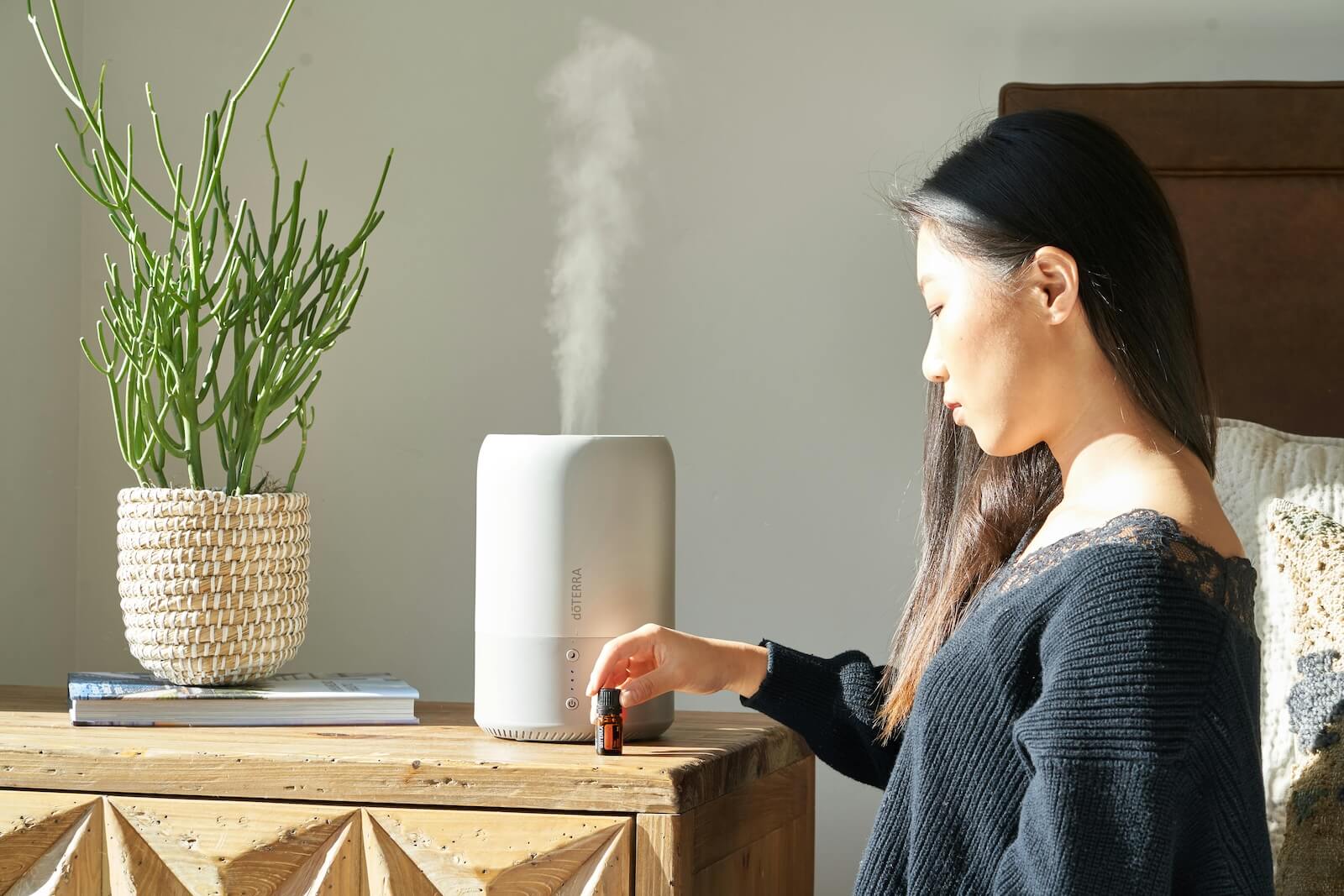 humidifier services denver co