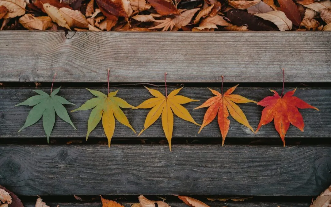 How To Prepare Your Home for Colorado’s Four Seasons